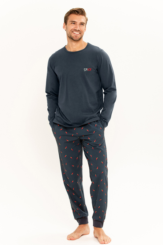 Piżama męska długi rękaw, długie spodnie Eric 3313 A/W 24-25 Taro