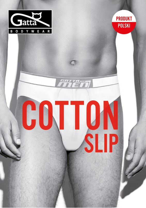 Slipy męskie Cotton Gatta - navy 2