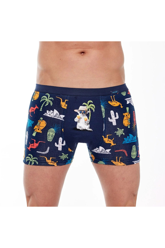 Szorty męskie bawełniane TA 280/229 Koala Cornette